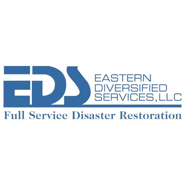 EDS Logo